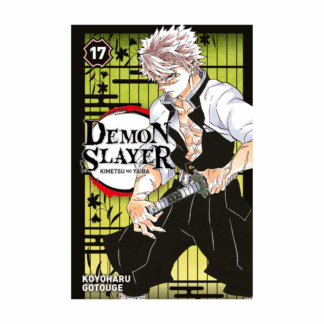 DEMON SLAYER, VOL. 17